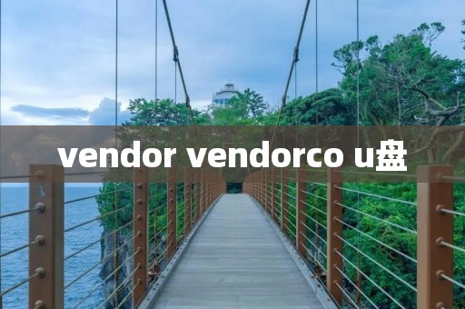 vendor vendorco u盘