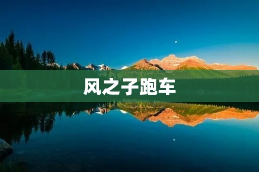 风之子跑车:追逐速度与**的极致体验 风之子跑车:追逐速度与**的极致体验