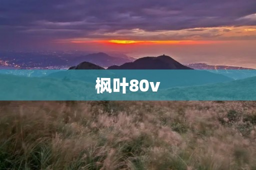 枫叶80v：**与速度的完美结合