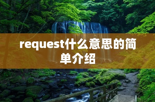 request什么意思的简单介绍