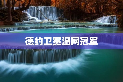 德约卫冕温网冠军:探索巅峰之路 德约卫冕温网冠军:探索巅峰之路