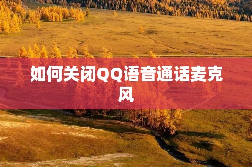 如何关闭QQ语音通话麦克风