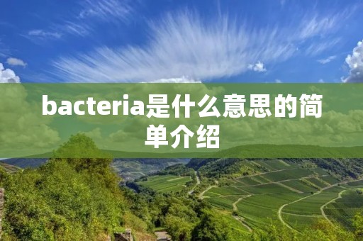 bacteria是什么意思的简单介绍