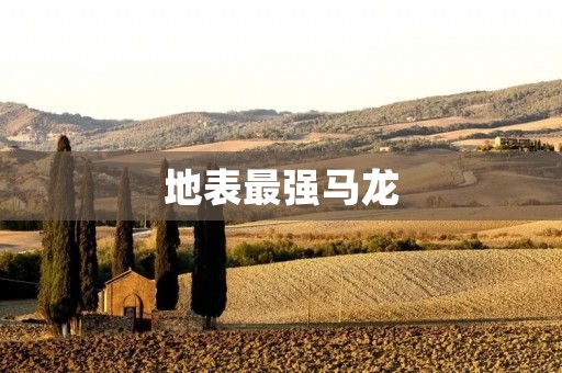 地表最强马龙：传奇乒乓球运动员的辉煌征程