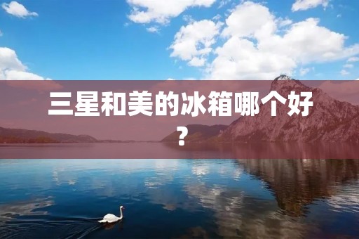 三星和美的冰箱哪个好？