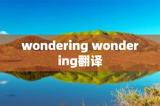 wondering wondering翻译
