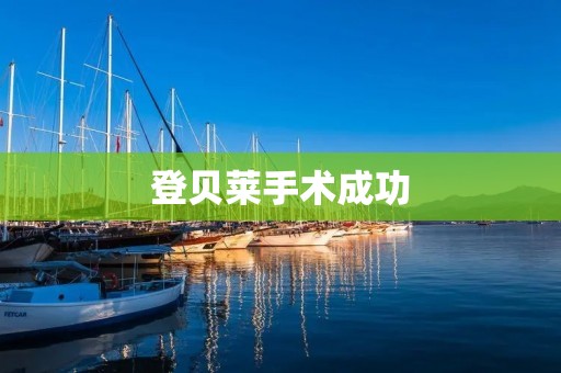 登贝莱手术成功:重返赛场的希望 登贝莱手术成功:重返赛场的希望