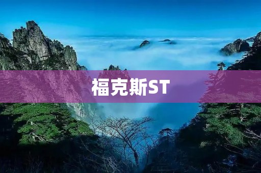 福克斯ST:**与性能的完美结合 福克斯ST:**与性能的完美结合