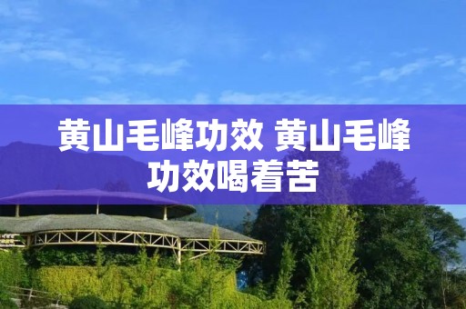 黄山毛峰功效 黄山毛峰功效喝着苦