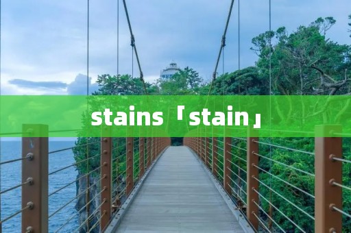 stains「stain」