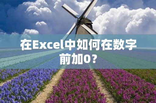 在Excel中如何在数字前加0？