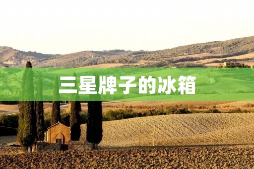 三星牌子的冰箱：品质与创新共舞