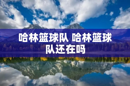 哈林篮球队 哈林篮球队还在吗