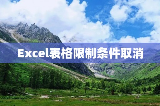 Excel表格限制条件取消
