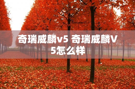 奇瑞威麟v5 奇瑞威麟V5怎么样
