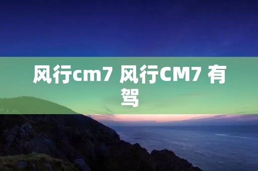 风行cm7 风行CM7 有驾