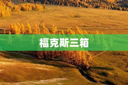 福克斯三箱:一款全面升级的动感之选 福克斯三箱:一款全面升级的动感之选