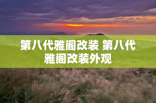 第八代雅阁改装 第八代雅阁改装外观