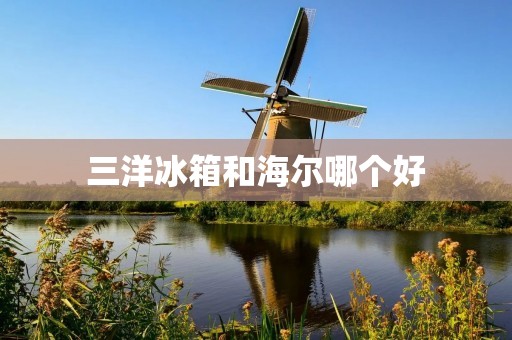 三洋冰箱和海尔哪个好 三洋冰箱和海尔哪个好