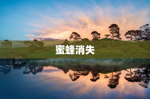 蜜蜂消失:一个令人担忧的生态危机