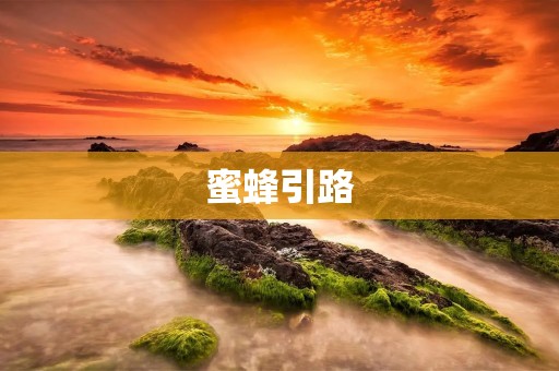 蜜蜂引路:大自然中的智慧之光