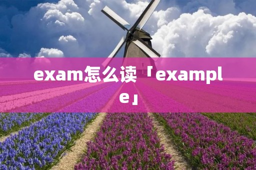 exam怎么读「example」