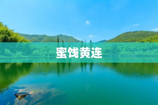 蜜饯黄连:传统中草药的美味佳品