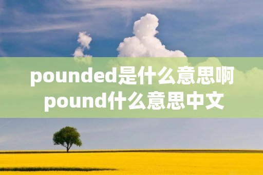 pounded是什么意思啊 pound什么意思中文