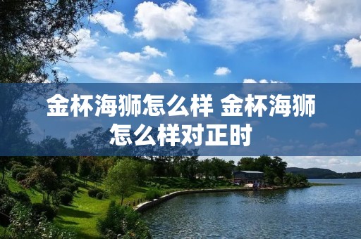 金杯海狮怎么样 金杯海狮怎么样对正时