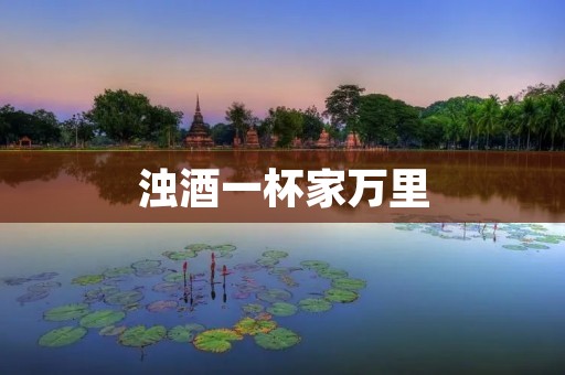 浊酒一杯家万里:探寻家乡美酒的故事