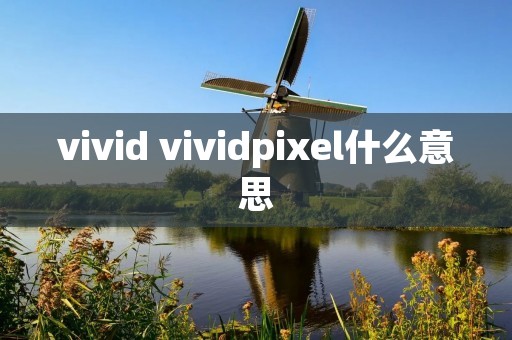 vivid vividpixel什么意思