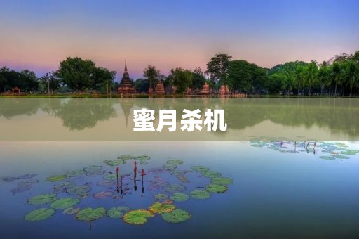蜜月杀机:一个令人毛骨悚然的旅行故事