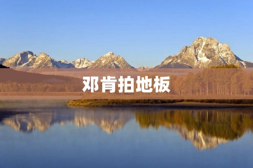 邓肯拍地板：篮球巨星的坚持与奋斗