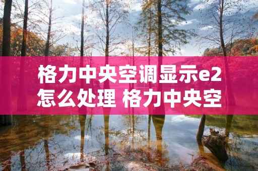 格力中央空调显示e2怎么处理 格力中央空调出现e2是什么故障怎么解决方法 格力中央空调显示e2怎么处理 格力中央空调出现e2是什么故障怎么解决方法
