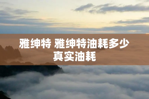 雅绅特 雅绅特油耗多少真实油耗 雅绅特 雅绅特油耗多少真实油耗