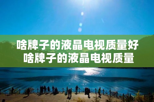 啥牌子的液晶电视质量好 啥牌子的液晶电视质量好又耐用
