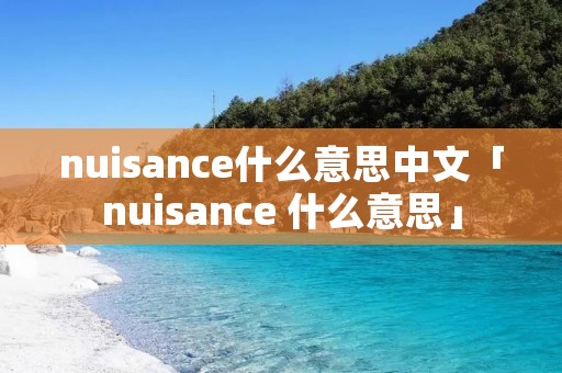 nuisance什么意思中文「nuisance 什么意思」
