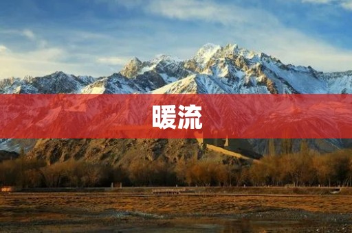 暖流:温暖心灵的慈爱之潮