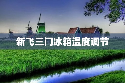 新飞三门冰箱温度调节：为您提供最佳食品储存环境