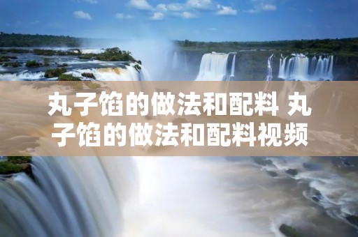 丸子馅的做法和配料 丸子馅的做法和配料视频 丸子馅的做法和配料 丸子馅的做法和配料视频