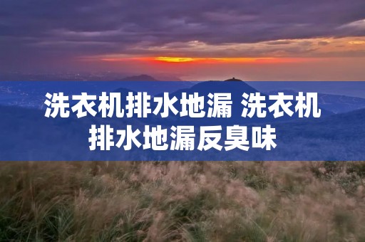 洗衣机排水地漏 洗衣机排水地漏反臭味