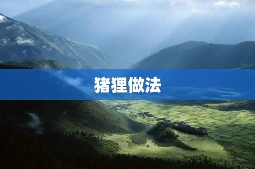 猪狸做法:传统美味的烹饪艺术 猪狸做法:传统美味的烹饪艺术