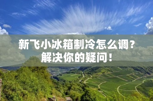 新飞小冰箱制冷怎么调？解决你的疑问！