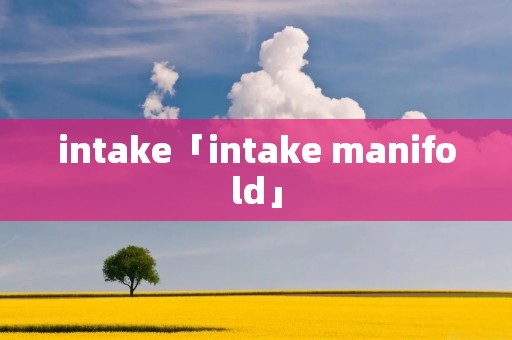 intake「intake manifold」