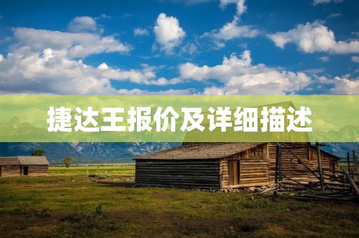 捷达王报价及详细描述