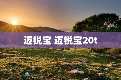 迈锐宝 迈锐宝20t 迈锐宝 迈锐宝20t