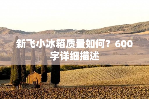 新飞小冰箱质量如何?600字详细描述 新飞小冰箱质量如何?600字详细描述