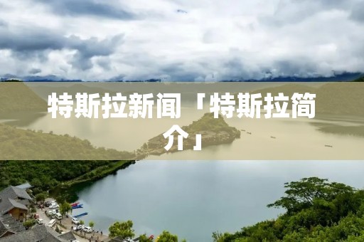 特斯拉新闻「特斯拉简介」