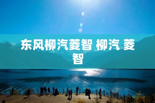东风柳汽菱智 柳汽 菱智
