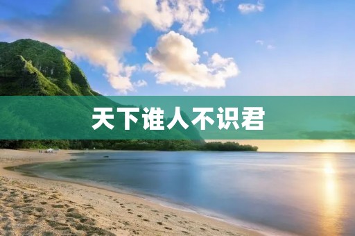 天下谁人不识君:一个伟大领袖的辉煌征程